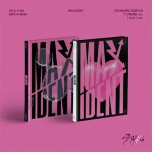 MAXIDENT STANDARD ver. - STRAY KIDS
